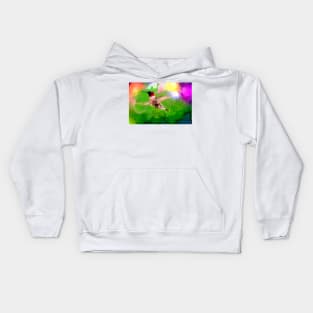 Hummingbird Visit Kids Hoodie